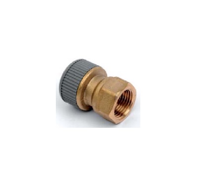 RACOR HEMBRA POLIBUTILENO  22X3/4"